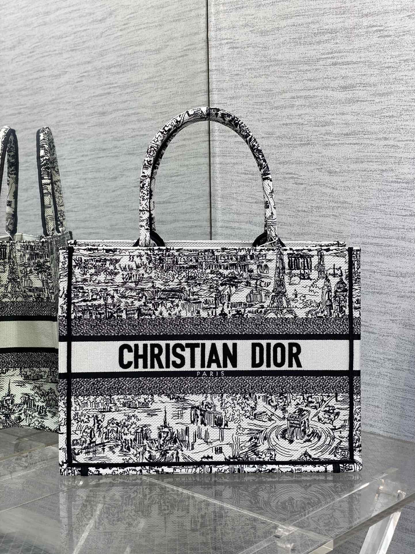 Medium Dior Book Tote Bag White and Black Paris Allover Embroidery